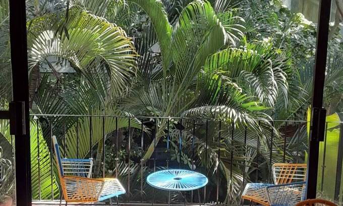 Fluvial Vallarta Condominio | New Sunshine Paradise Home -Playa y Jungle Dream.