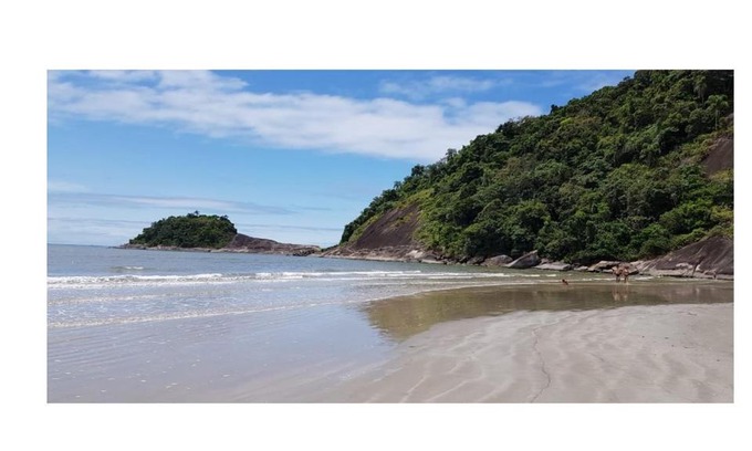 Indaia Apartamento | MarBelo Bertioga Apartamentos e Suítes