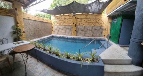 Alfonso Casa | Marcelo Nature Camp Staycation