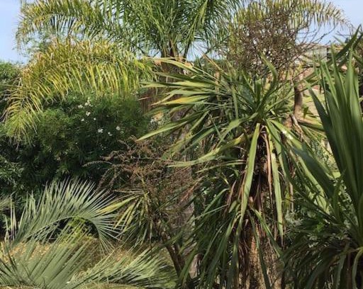 Ghisonaccia Apartamento | Mare è Monte , jardin méditerranéen et exotique.