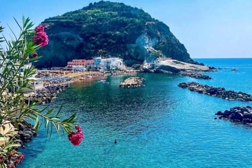Sant'Angelo Casa | MARE NOSTRUM - BeachFront House - Sant'Angelo Ischia