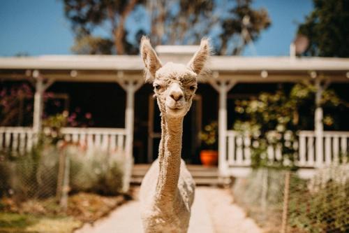 Margaret River Chalet De Esquí | Margaret River Holiday Cottages