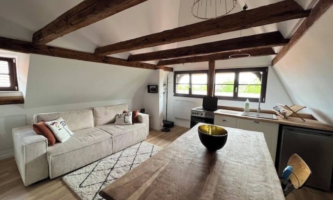 Selestat Apartamento | Marine & Comble