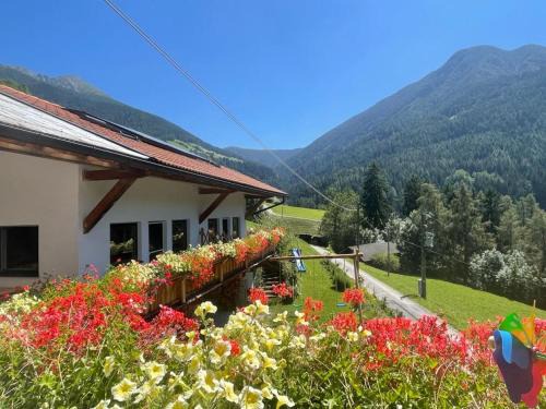 Campo di Trens Apartamento | Martlerhof Urlaub auf dem Bauernhof