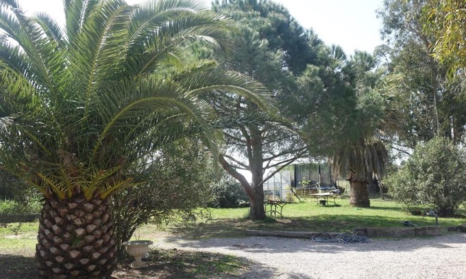 Saleilles Casa | Mas du Roc