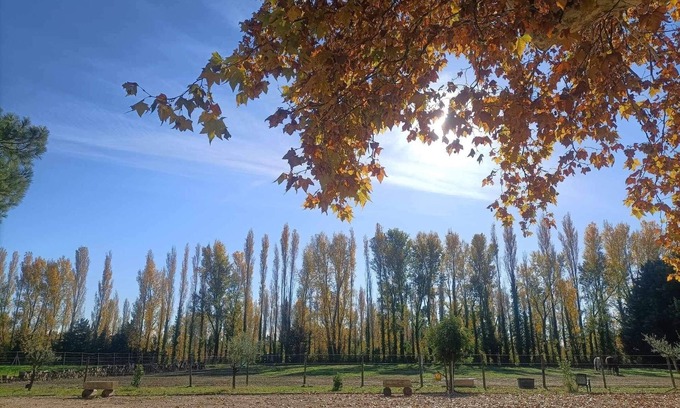Mornas Otro | Mas en Pierre du Xvième Rénové au Cœur de la Provence, Nature et Calme Garantis