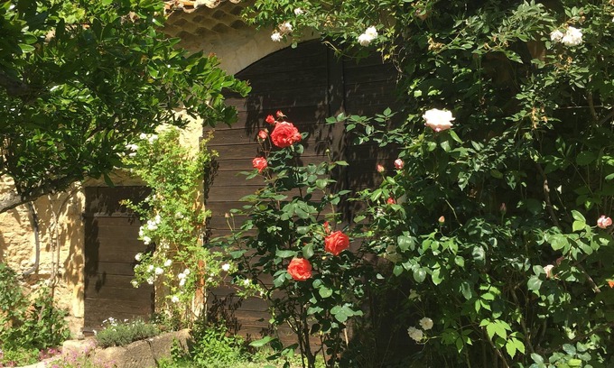 Piolenc Cama Y Desayuno | Mas provençal