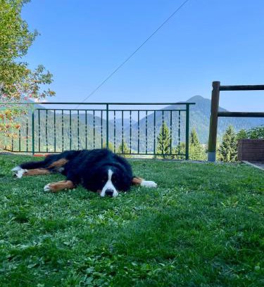 Pieve Tesino Apartamento | Maso Patrizia - Rifugio caldo tra le vette