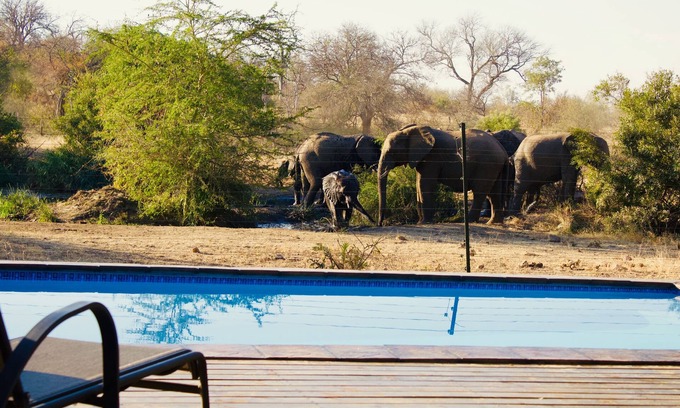 Maruleng Cabina | Masodini Private Game Lodge
