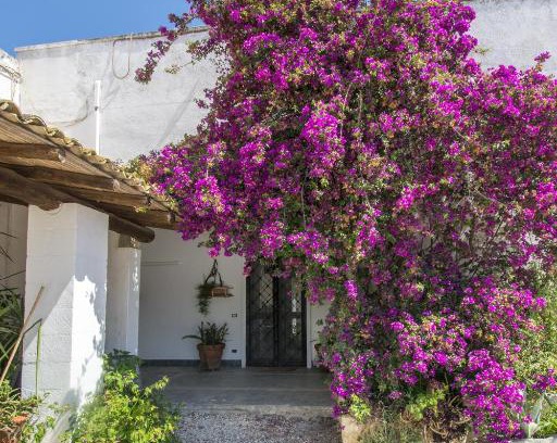 Torre Santa Susanna Casa | Masseria Bellamarina