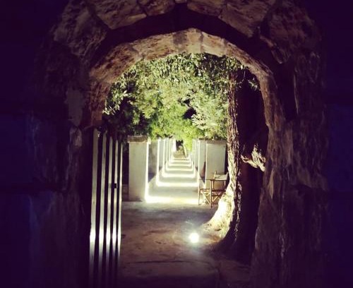 Macchia di Monte Cama Y Desayuno | Masseria Calò