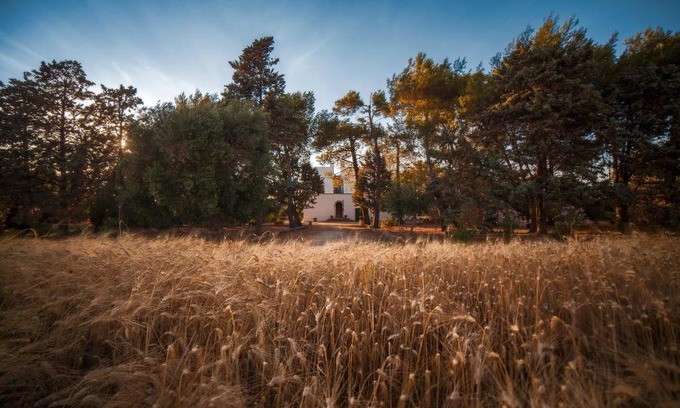 Galatina Cama Y Desayuno | Masseria Fracchicchi