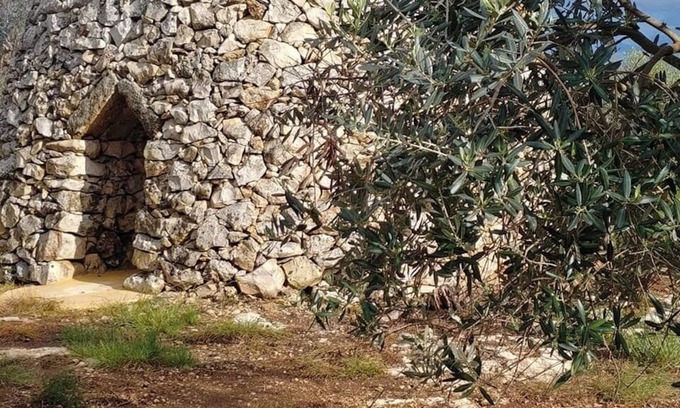 Sannicola Casa | Masseria la Maestà Ospitalità rurale