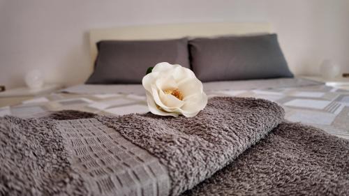 Pizzo Apartamento | Mastrolino House
