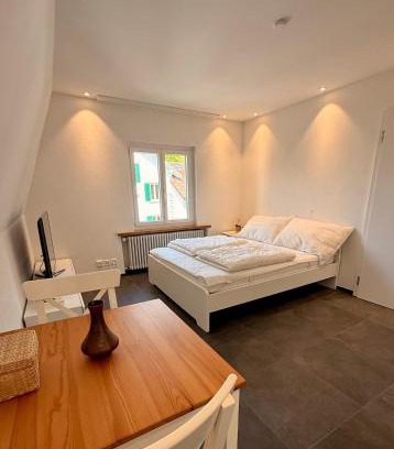 Schaffhausen Apartamento | Max Apartments