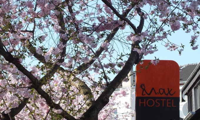 Old Town Hostal | Max Hostel