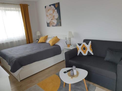 Tirgu Mures Apartamento | Max Studio
