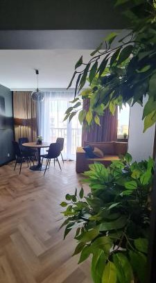 Plock Apartamento | Mazovia Gold Apartament