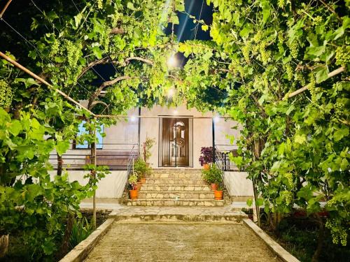 Albania Casa | Meadow Of Stars house