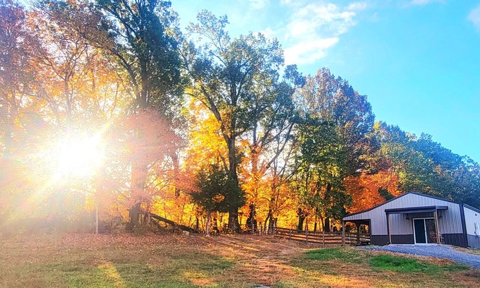 Readyville Cabaña | Meadow Wood Cottage Peaceful, Relaxing Luxury in the Country