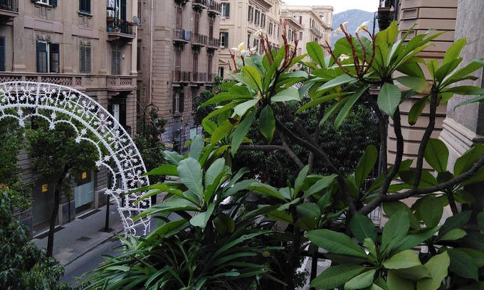 Centro Storico Cama Y Desayuno | Medusa B&B
