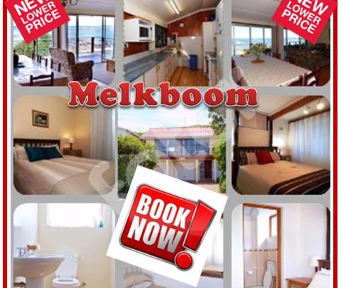 Franskraal Casa | Melkboom