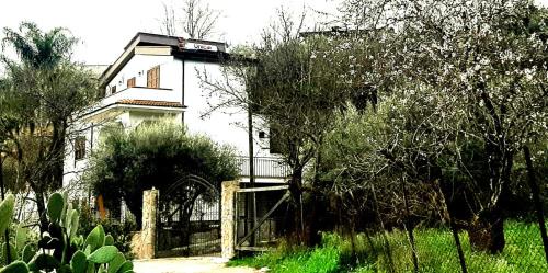 Misilmeri Casa | Menzel el Emir