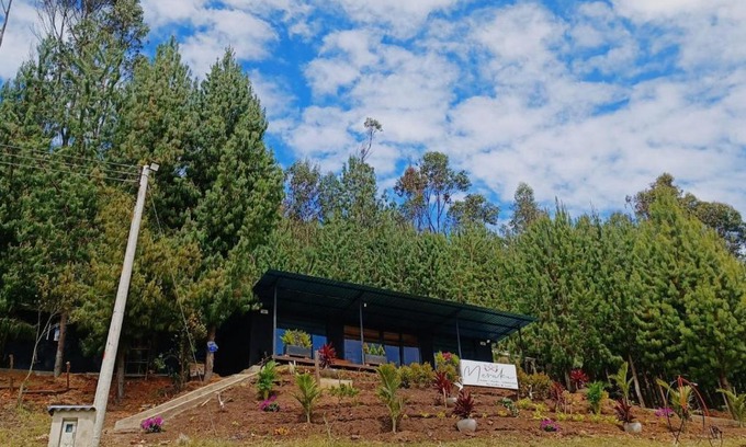 Tibasosa Otro | Meraki_Paipa