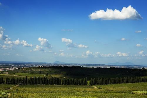 Frascati Casa | Merumalia Wine Resort