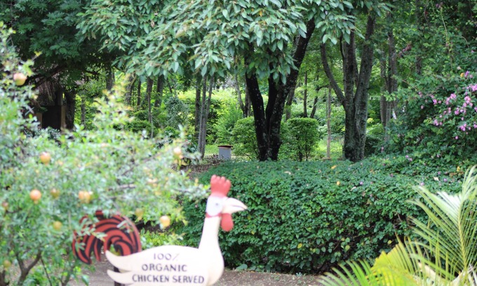 Arusha Region Hotel | Meserani Oasis Lodge & Campsite