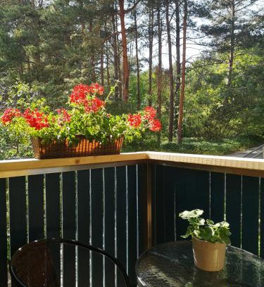 Nida Apartamento | Miško studija