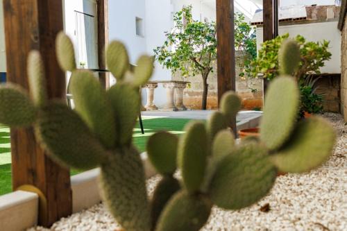 Felline Cama Y Desayuno | Mialma Bed and Breakfast