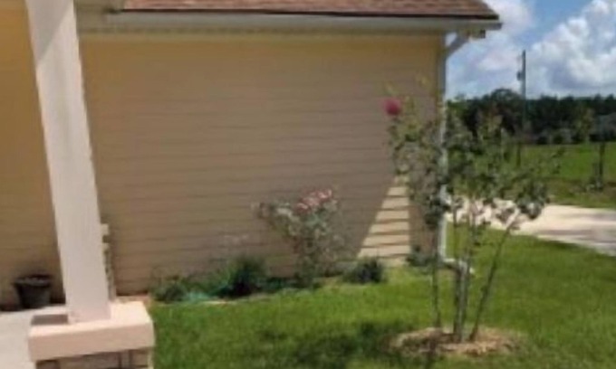 Hawthorne Casa | Micanopy Dream Home