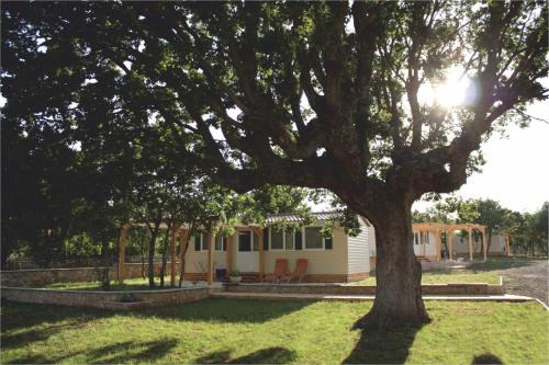 Krusevo Complejo | Micanovi Dvori Mobile Home Village Zrmanja