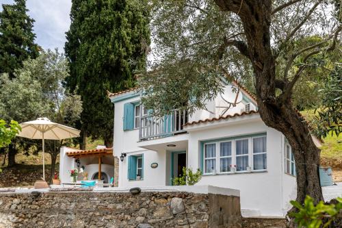 Stafylos Villa | Michael's Country House
