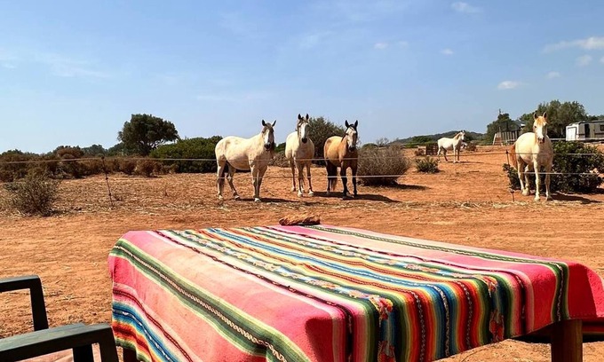 Lagos Casa | Caravana Michas para 2 Vea la manada de caballos desde su cama