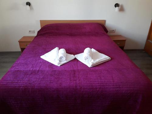 Campulung Moldovenesc Apartamento | Microapartament Campulung Moldovenesc