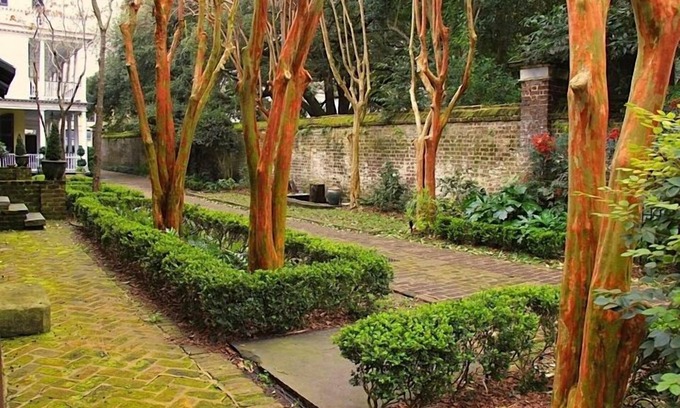 French Quarter Cabaña | Mediados de 1700 Carriage House W / Patio, Parking Cerrado, y una cocina completa