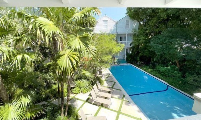 White Street Gallery District Cabaña | Mid Town 2/1 TREE HOUSE RETREAT