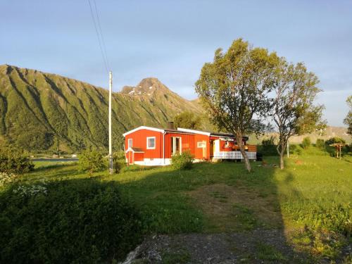 Austvagoy Casa | Midnattsolveien 3158,Sommarhusstrand Laukvik Lofoten Norway