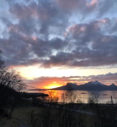 Bodo Casa | Midnight Sun Road