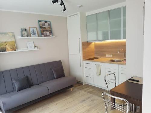 Orlowo Apartamento | Mieszkanie typu Studio