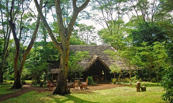 Lake Manyara National Park Cabina | Migunga Tented Camp