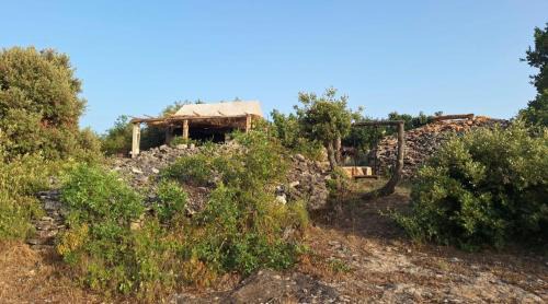 Donji Humac Casa | Miki's Little House