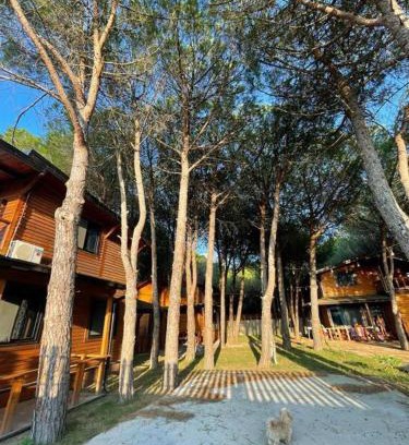 Velipoje Apartamento | Mikpritja Velipojë 1