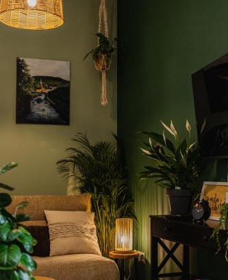 Nowa Ruda Apartamento | Mikroklimat
