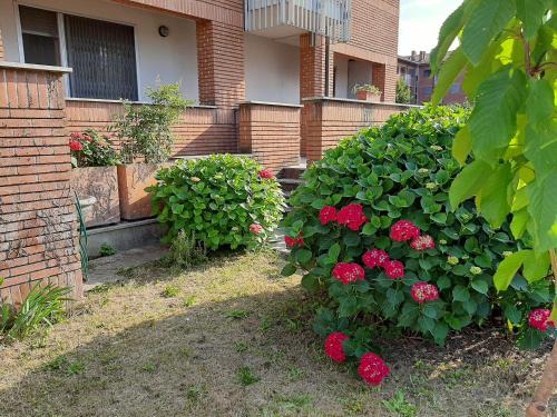 Peschiera Borromeo Apartamento | Milano Linate Airport Apartment