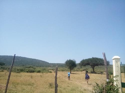 Ololaimutiek Cama Y Desayuno | Miliki Maasai Mara