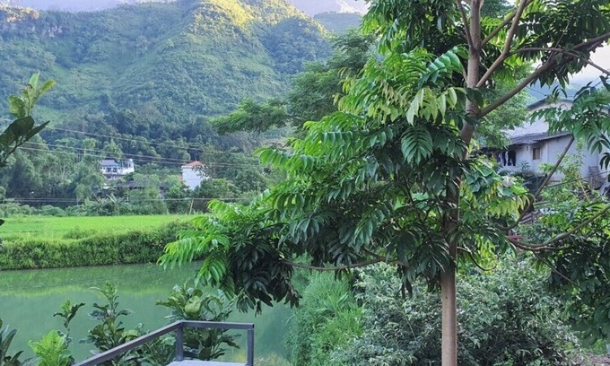 Yen Minh Cama Y Desayuno | Milk Homestay
