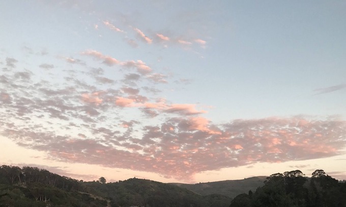 Tamalpais-Homestead Valley Apartamento | Mill Valley: 15 minutos a SF, 10 minutos a Muir Woods